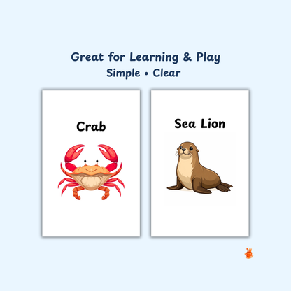 20 Cute Ocean Animals