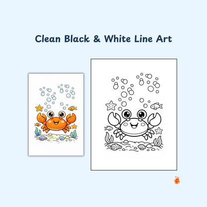 23 Cute Ocean Animals