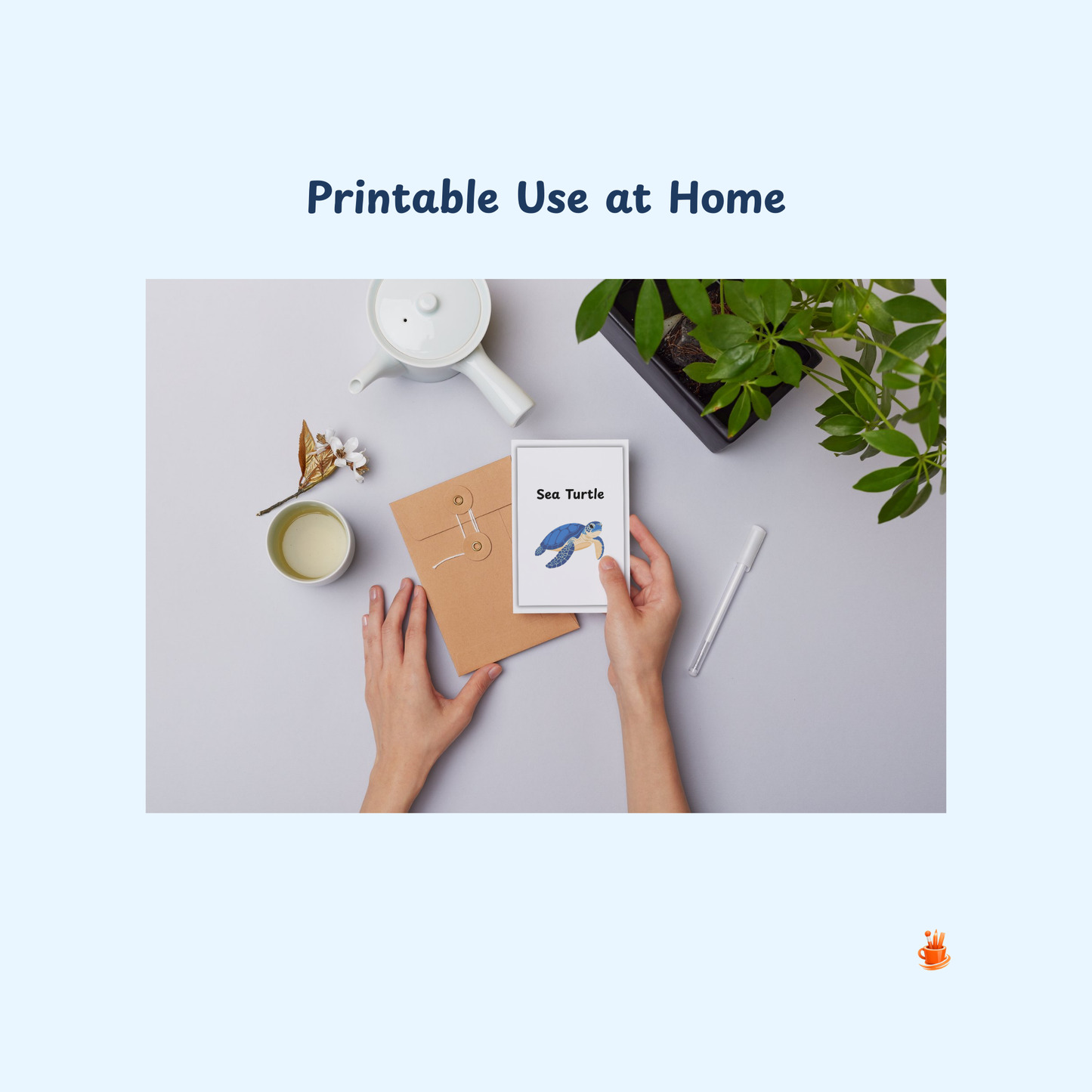 20 Cute Ocean Animals