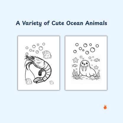 23 Cute Ocean Animals