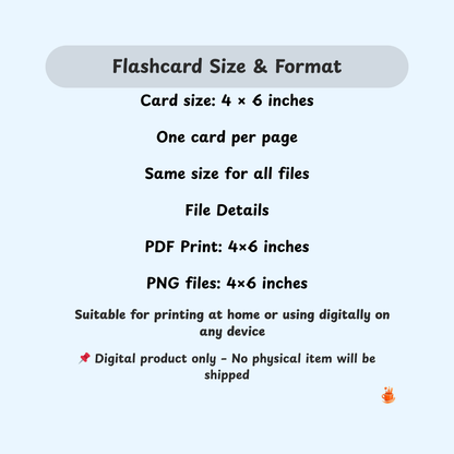 20 Cute Ocean Animals